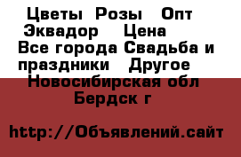 Цветы. Розы.  Опт.  Эквадор. › Цена ­ 50 - Все города Свадьба и праздники » Другое   . Новосибирская обл.,Бердск г.